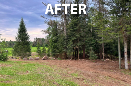 Site-ForestThinning-After