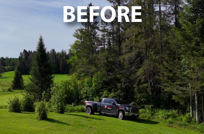 Site-ForestThinning-Before