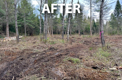 Site-LandClearing-After