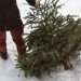 11 Eco-Friendly Ways to Repurpose Your Christmas Tree After the Holidays